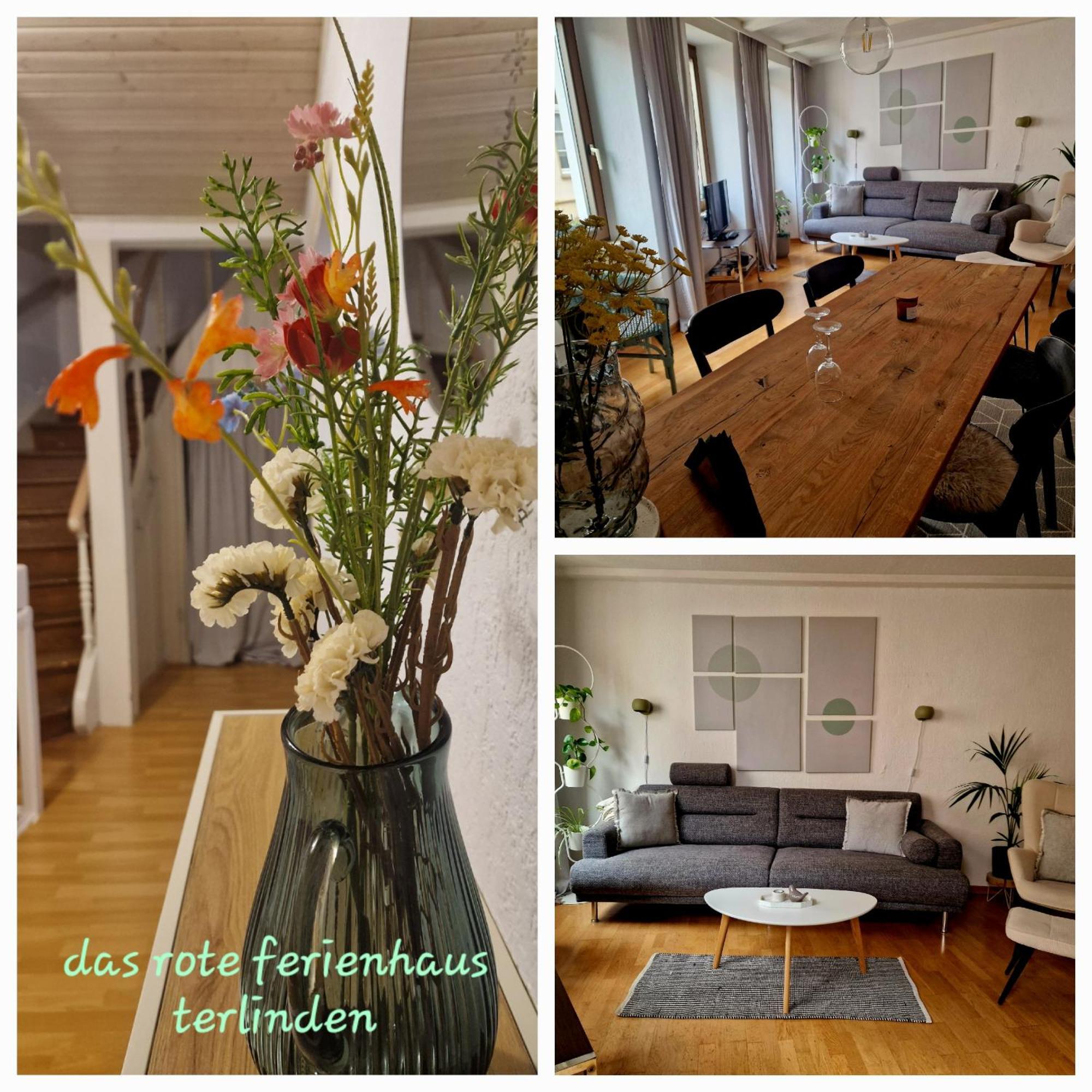 Das Rote Ferienhaus Terlinden Lieser Exterior foto